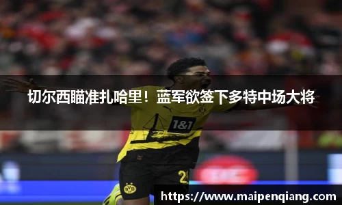 博鱼官方网站