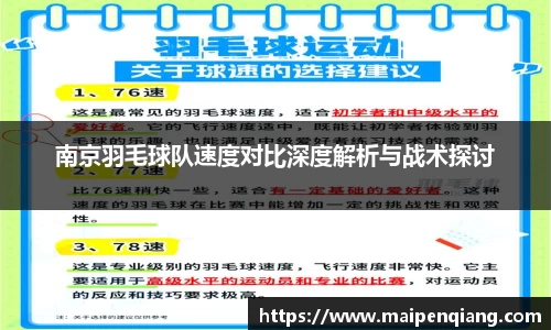 南京羽毛球队速度对比深度解析与战术探讨